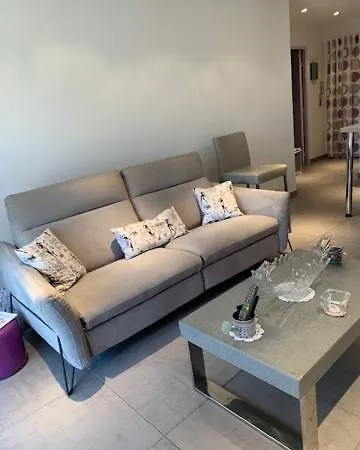 Daire Centre Capitou Avec Jardin Et Piscine *